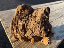 One Large, Red Lava Rock –