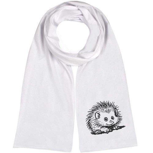 African pygmy hedgehog - pygmy, hedgehog'