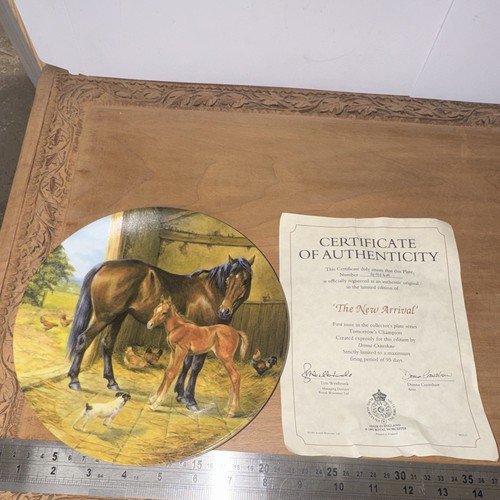 Royal worcester collectors - worcester,