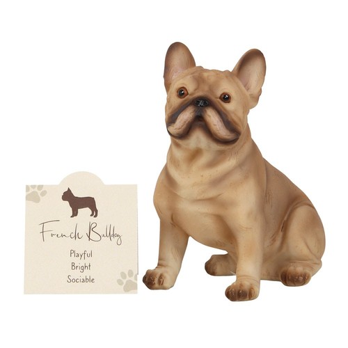 French bull dog - dog, ornament