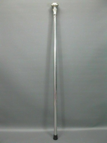 Stainless steel walking hiking - stainless,