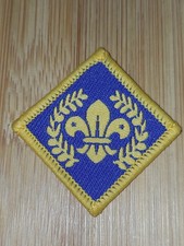 Current scouting chief - uk,