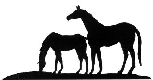 Steel horse foal - steel, race