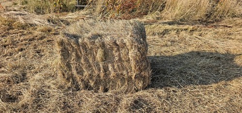 Hay bales 100kg roughly - hay, 4ft