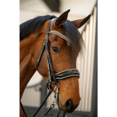 Black double bridle size - black,