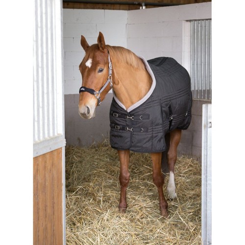 Ekkia equi theme 400g - equi-theme, stable