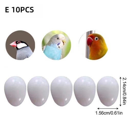 10pcs multi size dummy eggs - multi-size,