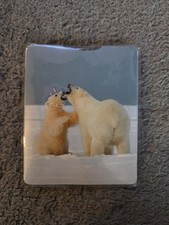 Brand New Polar Bear