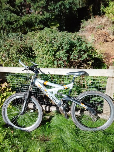 Team saracen raw pro size - team,
