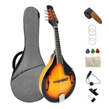 A Style Acoustic Mandolin