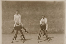 Turners on the pommel horse