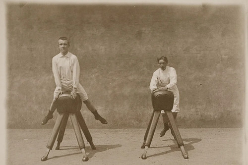 Turners the pommel horse - on,