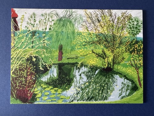 David hockney the - hockney,
