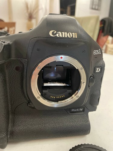 Canon eos mark - mark, digital