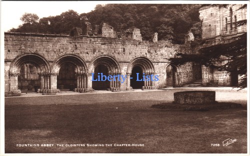 Fountains abbey cloisters - abbey,
