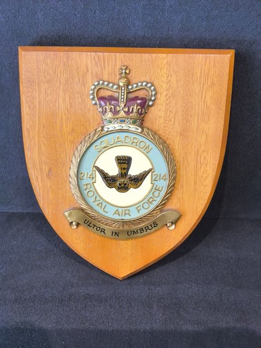 Vintage raf 214 squadron - squadron, wall