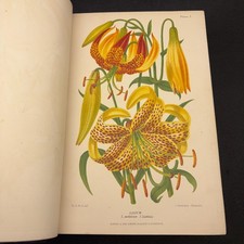 The Gardener's Assistant ~