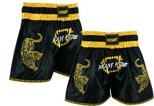 Evo muay thai cage fight - thai,