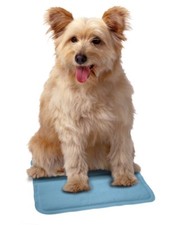 SALE SnuggleSafe Coolpad for