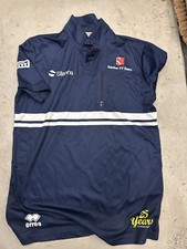 Charity Auction -  Sauber F1