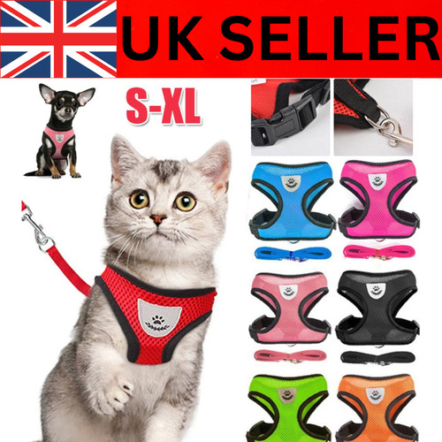 Pet cat harness vest - pet, walking