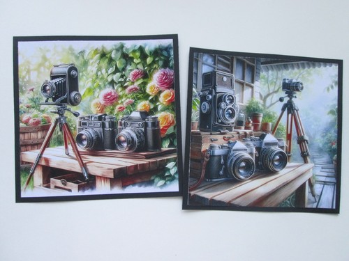 Set vintage cameras - ,