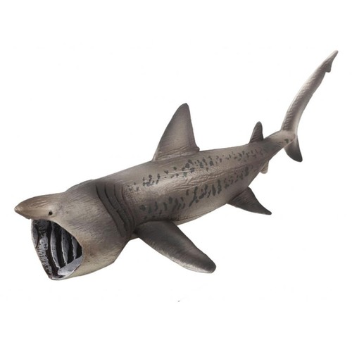 Basking shark model - shark, ,science