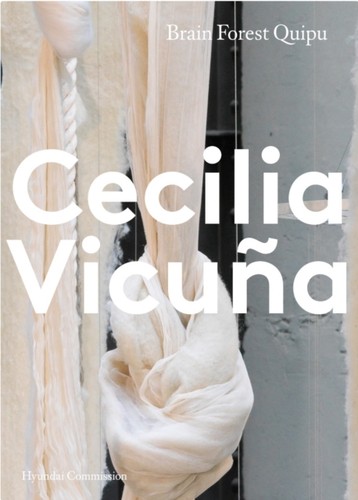 Cecilia vicuna - cecilia,