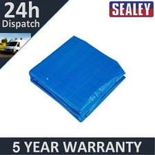 Sealey Dellonda Swimming Pool Ground Sheet for DL19 DL45