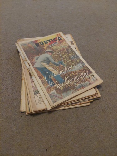 Vintage french rustica - vintage,