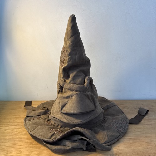 Harry potter sorting hat - harry,