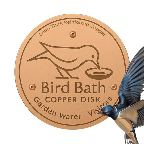 Bird bath copper - copper, disk