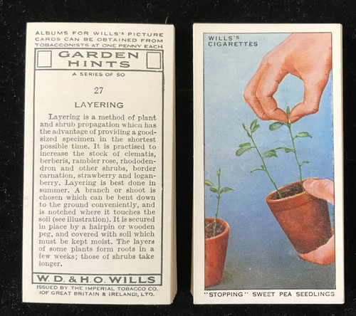 O wills garden - h.o, hints