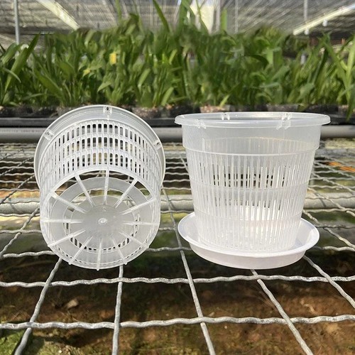 1pcs clear plastic orchid pots - plastic,