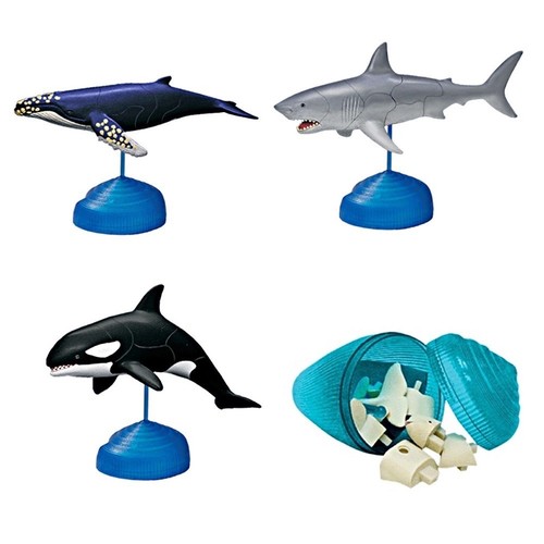 Humpback whale great - humpback, whale/great