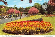Central Gardens Bournemouth Dorset Postcard (G240)