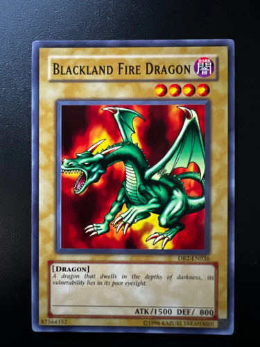 Blackland fire dragon - blackland,