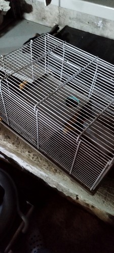 Bird cage imac cova - bird,