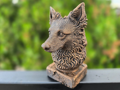 Mudi bust - mudi,