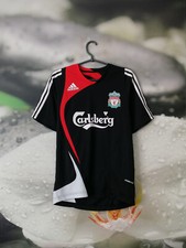 Liverpool 2007 training