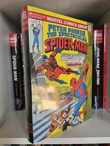 The spectacular spider man - the,