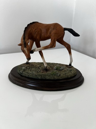 Country artists horse - country,