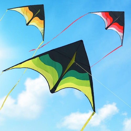 Large delta beach kite for - delta,