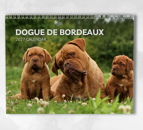 Dogue bordeaux calendar - de,