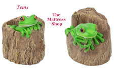 ~❤️~RAINFOREST TREE FROG