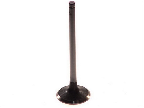 Paradowscy pren024 inlet - pren024,