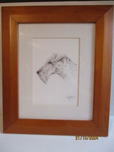 Wire fox terrier dog - fox,