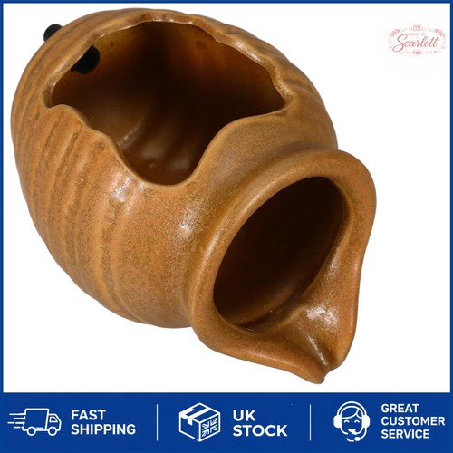 Elegant ceramic jug - elegant, pond