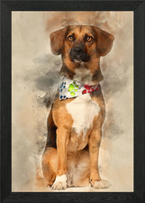 Dog cross breed with a bea