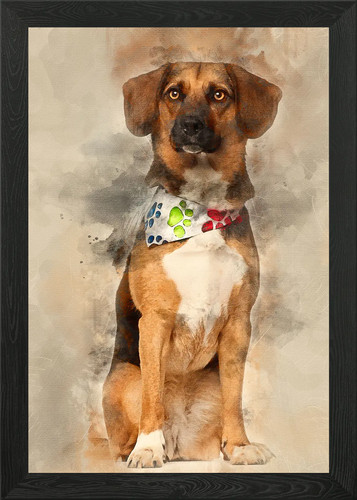 Dog cross breed with - a, bea